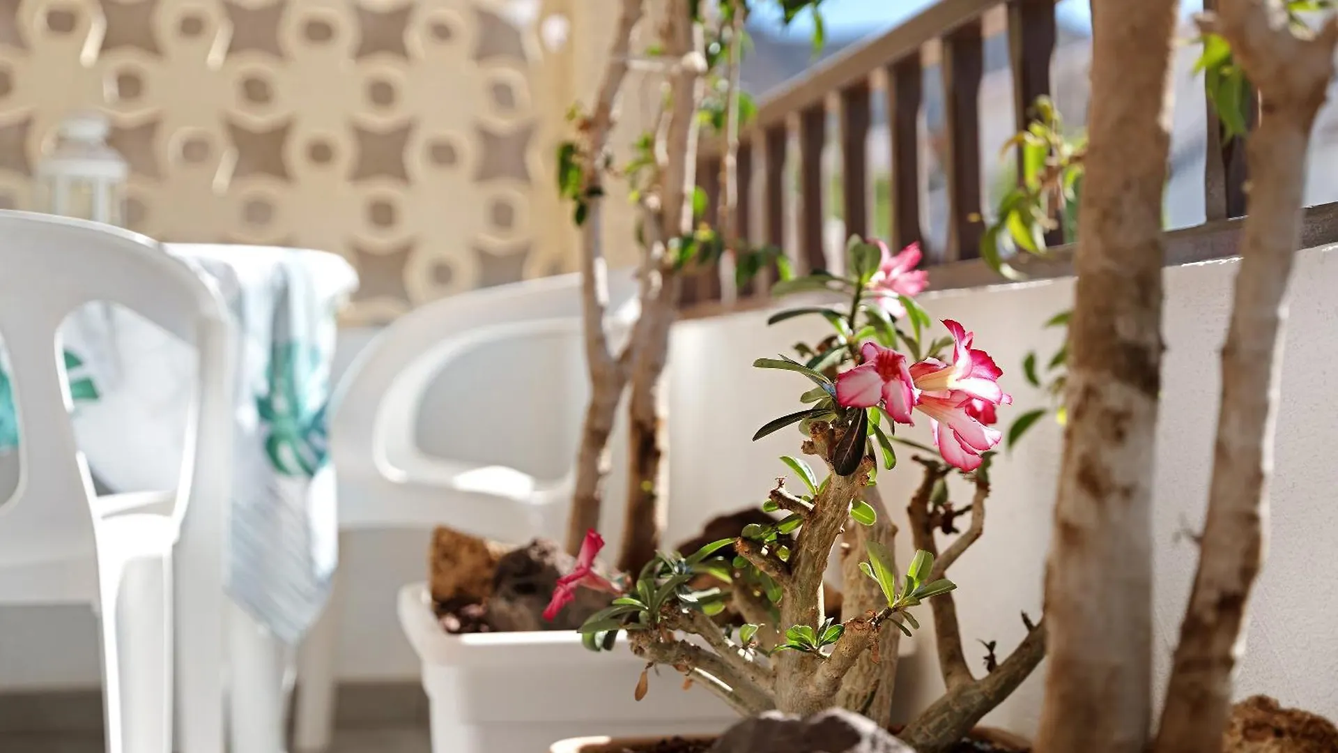 Daire Bonito Apartamento Miraverde Pool Costa Adeje